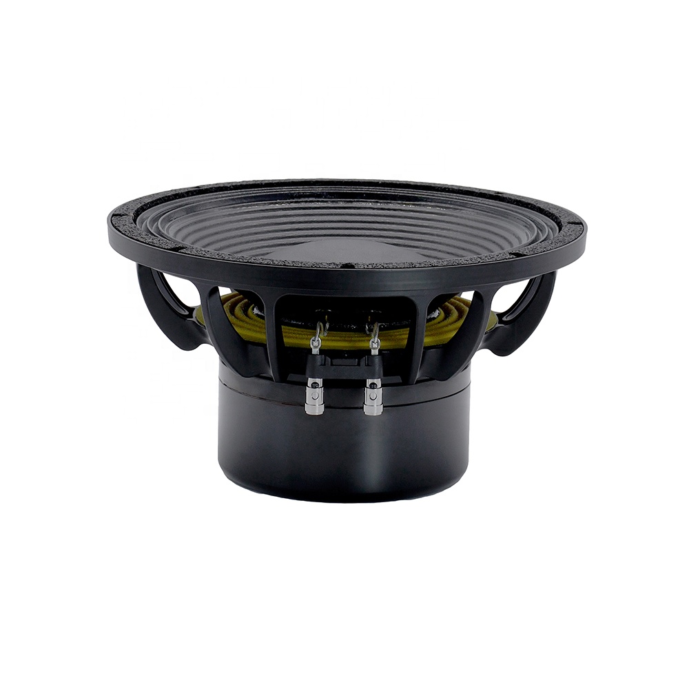 12DS Pro Audioapparatuur 12''  - Speakers recensie en prijs